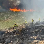 Los incendios dan una tregua parcial en España, pero Madrid, Ávila y Castellón siguen bajo presión