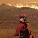 El incendio de Orés supera las 14.000 hectáreas y golpea la economía rural aragonesa