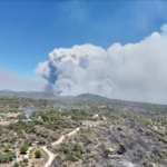 Plus de 207 000 hectares touchés par les incendies en Espagne selon les estimations européennes