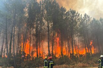 Gironde : 42 000 hectares brûlés et le corridor vers l’Espagne paralysé