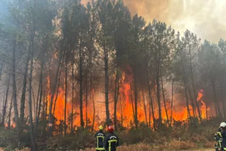 Gironda alcanza las 42.000 hectáreas quemadas y bloquea el corredor hacia España