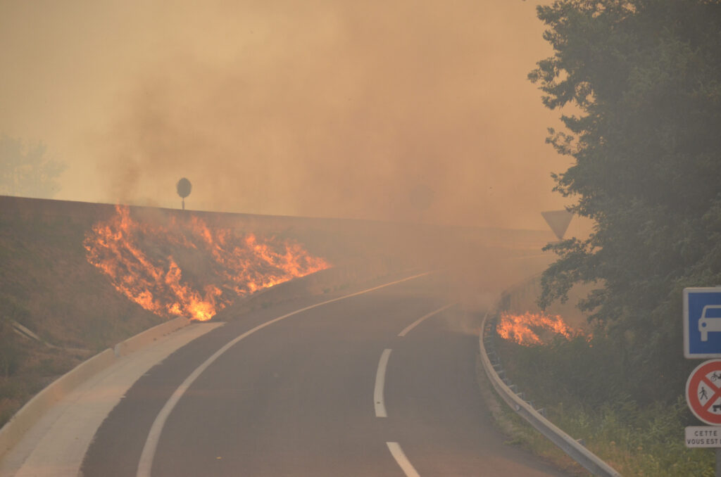 19:00 Noticias | España celebra su segunda estrella mientras los incendios ya superan las 40.000 hectáreas