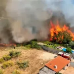Madrid y Ávila superan las 45.000 hectáreas afectadas bajo mando nacional