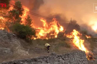 Emergencia en el Empordà: el incendio de las Gavarres devora 2.200 hectáreas