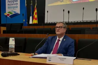 Caso asistentes del RN: Louis Aliot condenado a inhabilitación en suspenso, Perpiñán evita la crisis de gobierno