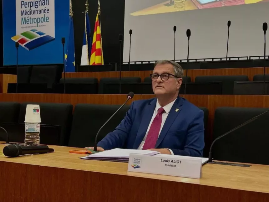 Caso asistentes del RN: Louis Aliot condenado a inhabilitación en suspenso, Perpiñán evita la crisis de gobierno