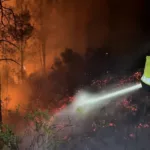 🔴 VIDÉO | Gátova évacuée face à la progression de l’incendie de Segorbe dans la Sierra Calderona