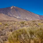 Claves | Detectado un enjambre de terremotos en Canarias