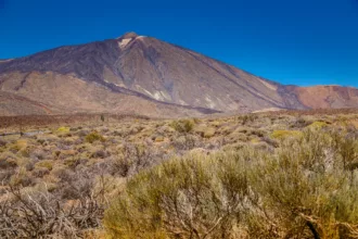 Claves | Detectado un enjambre de terremotos en Canarias
