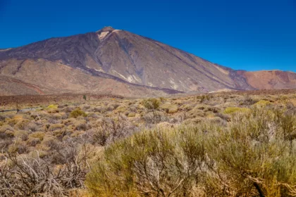 Claves | Detectado un enjambre de terremotos en Canarias