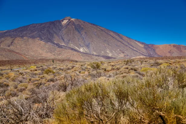 Claves | Detectado un enjambre de terremotos en Canarias