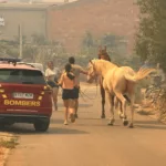 El incendio de Tírig y Catí queda estabilizado tras arrasar 810 hectáreas