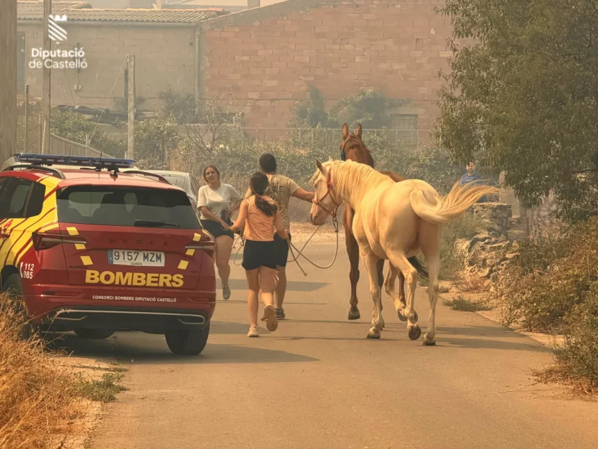 El incendio de Tírig y Catí queda estabilizado tras arrasar 810 hectáreas