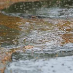 Valencia activa la alerta naranja por lluvias de hasta 40 litros en una hora