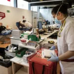 Nuevo coronavirus en murciélagos: qué se sabe y qué tiene en común con el SARS-CoV-2