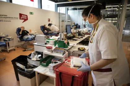 Nuevo coronavirus en murciélagos: qué se sabe y qué tiene en común con el SARS-CoV-2