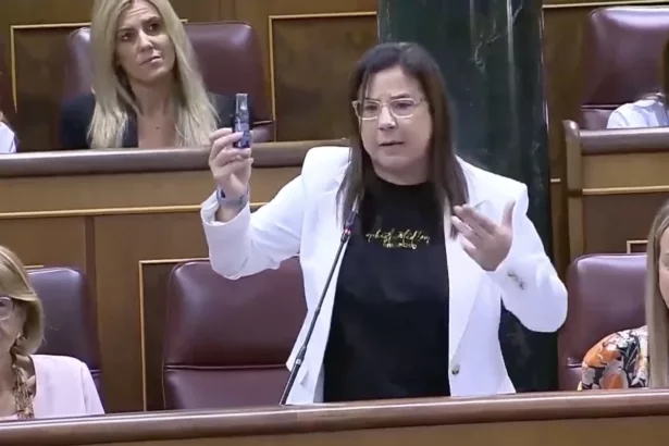 Análisis | El caso Ana Vázquez: ¿qué límites tienen los diputados dentro del Congreso?