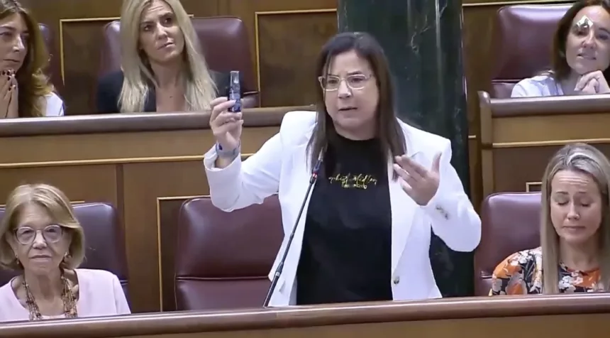 Análisis | El caso Ana Vázquez: ¿qué límites tienen los diputados dentro del Congreso?