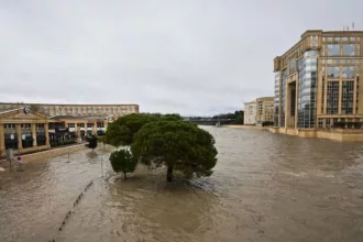 🔴 Inundaciones en Francia: más de 300 mm de lluvia y fuerte crecida del Vidourle en el episodio cévenol