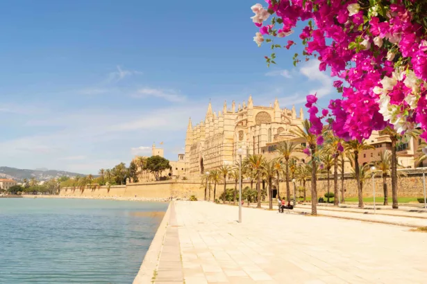 Palma sitúa los datos en el centro del nuevo modelo turístico mediterráneo