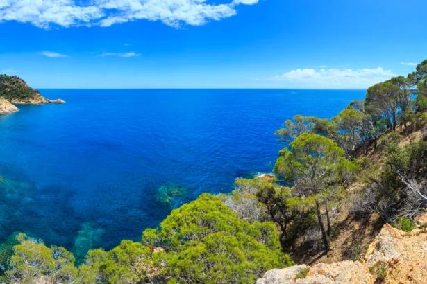 Le niveau de la Méditerranée accélère jusqu’à 6,4 mm par an tandis que les océans battent des records de chaleur