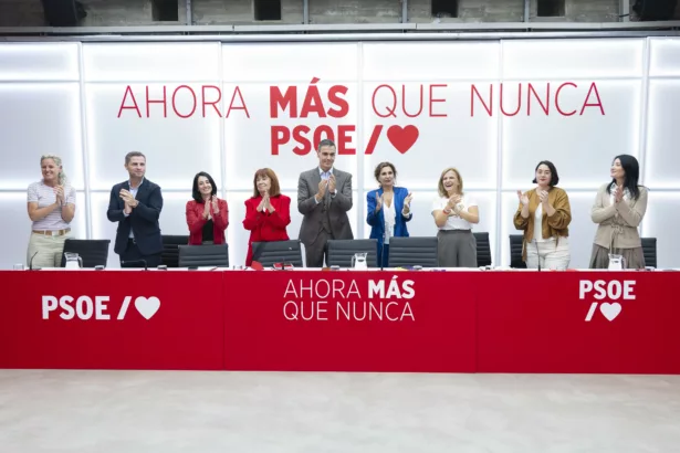Pedraz podría decidir este viernes si investiga al PSOE por el caso Leire Díez