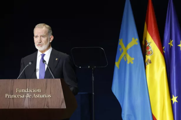 Felipe VI pide proteger las instituciones y recuerda que la democracia no termina el 29N