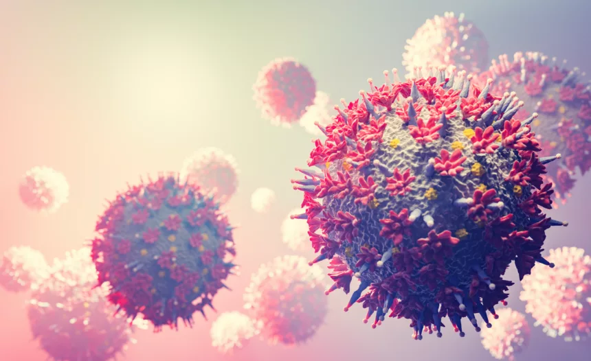 Francia confirma el primer caso humano del virus Shamonda tras la muerte de un paciente en Lyon